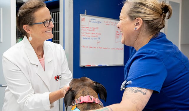 Careers | Animal Emergency Center