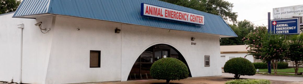 Evenings & Weekends Care | Animal Emergency Hospital | Memphis