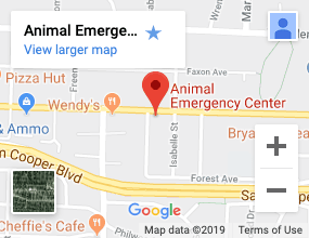 Animal Emergency Center | Memphis, Tennessee
